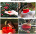 Hummingbird Feeder for Window Small Handheld Bird Flower Feeders with Perch Cleaning Brush (2 Pack)...