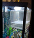 2 Pcs Aquarium Hatchery Net Fish Isolation Box,Nylon Mesh Fish Fry Hatchery Breeder Box Separation Net with Isolation Board...