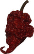 Carolina Reaper Chili Peppers Wicked Reaper World's Hottest Dried Spice Pack 5 +2 Free...