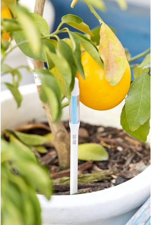 Sustee Aquameter, White, Medium, Set of 2 - Soil Moisture Meter for Potted Plants - Plant Water Sensor (Refillable Style)...