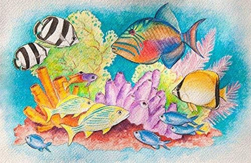 Color Swell Bulk 8 Color Watercolors with Wood Brushes - 4 Packs...