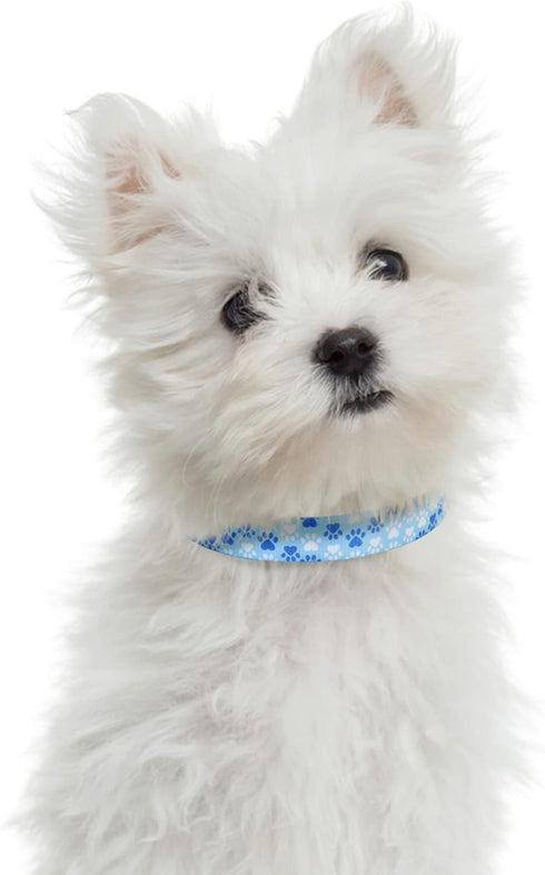 Mile High Life Dog Collar | Nylon Puppy Collars w Cute Patterns | Lightweight Girl Dog Collar | Boy Dog Collar for Small/Medium/Large Dogs (Blue F...