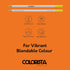 Spectrum Noir Colorista Coloured Pencils - Pack of 12 - Bright & Vivid...
