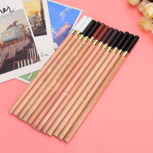 12PCS 4 Colors Sketching Pencils Wooden Charcoal Drawing Pencil Art Supplies with Gift Box for Art Students, Beginners, Professional Painter, Whit...