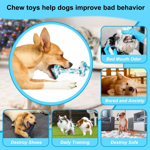 Dog Rope Toys, 3 Knots Chew Rope Toy for Medium and Small Dogs, Natural Cotton Dog Pull Rope for Tug of War and Teeth Cleaning (Blue)...