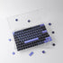 Hyekit Keycaps Storage Box, 1 pcs ABS Dustproof Display Case, with Magnetic Catches, Transparent Collection Box for Cherry XDA SA OEM MSA DSA Prof...