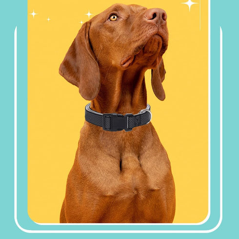 Full Reflective Dog Collar Adjustable Soft Neoprene Padded Nylon Pet Collars Durable D-Ring Quick Release Buckle Working Collars for Small Medium ...