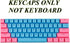 61 Keys PBT Keycap OEM Overview Set Thick Key Caps 61 Mechanical Keyboard for DIY Cherry MX Mechanical Keyboard Backlit,Only Keycap (Blue-Pink),On...