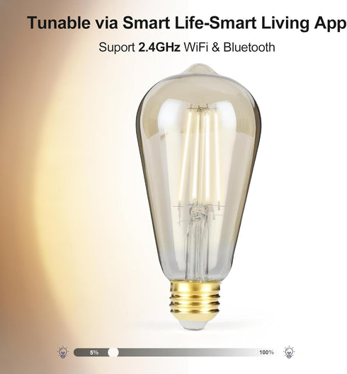 Smart LED Filament Bulb, Smart Light Bulbs Bluetooth and WiFi Vintage Filament Light Bulb Work with Alexa & Google Home, ST19 Smart Edison Bulb 21...