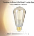 Smart LED Filament Bulb, Smart Light Bulbs Bluetooth and WiFi Vintage Filament Light Bulb Work with Alexa & Google Home, ST19 Smart Edison Bulb 21...