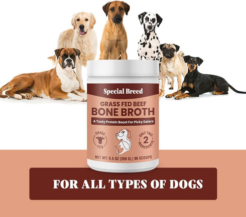 Bone Broth Powder for Dogs and Cats - Dog and Cat Food Topper, Grass Fed Beef Broth Supplement, 9.5 oz...