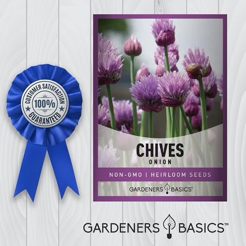 Chive Seeds for Planting is A Heirloom, Non-GMO Herb Variety- Chive Common Onion Herb Seeds Great for Indoor and Outdoor Gardening by Gardeners Ba...