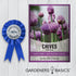 Chive Seeds for Planting is A Heirloom, Non-GMO Herb Variety- Chive Common Onion Herb Seeds Great for Indoor and Outdoor Gardening by Gardeners Ba...