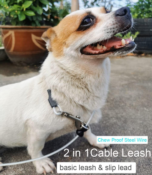4/6FT Cable Slip Lead Dog Leash, Chew Proof Steel Wire Dog Leash with Reflective Soft Nylon Handle for Teething Puppies Small Medium Dogs Training...