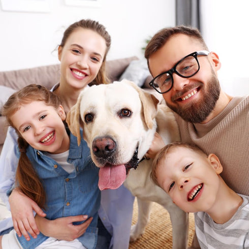 Twisted Rope tuggable chew Toy for Dogs...