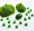 20 Pcs Mini Animals Miniature Resin Frogs,Cute Frogs Fairy Garden Moss Landscape Ornaments for Outdoor Decoration,Home Décor …...