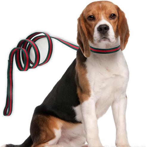 Premium Dog Collar, Cute Dog Collars Luxury Style, Durable Pet Collars and Dog Leash with Metal Buckle Safety for Big Dogs...