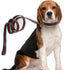 Premium Dog Collar, Cute Dog Collars Luxury Style, Durable Pet Collars and Dog Leash with Metal Buckle Safety for Big Dogs...