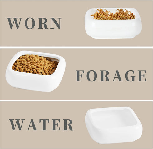 Reptile Food Bowls -Ceramic Square Reptile Water Food Dish, Pet Food Bowl for Lizards, Young Bearded Dragons, Small Snakes, Gecko Tortoise Spider ...