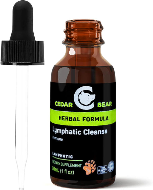 Cedar Bear - Lymphatic Cleanse Immune Support Supplement, Alcohol-Free Lymphatic Drainage Drops with Immune-Enhancing Natural Herbs, Liquid Herbal...