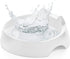 CatGuru Whisker Stress Free Cat Water Bowl, Reliefs Whisker Fatigue, Wide Cat Dish, Non Slip Cat Feeding Bowls, Shallow Cat Food Water Bowls, Non ...
