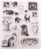 Cats Life Clear Stamps for Card Making Transparent Silicone Stamp DIY Scrapbooking Supplies Embossing Paper Card Album...