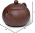Teapot 270ml Clay Xishi Pots China Gongfu Tea Infuser for Loose Tea Blooming (Blooming)...