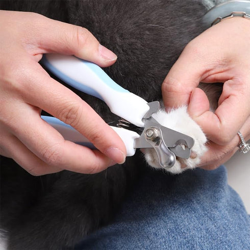 Dog & Cat Pets Nail Clippers and Trimmers Suitable for Medium to Large Dogs, Cats, Rabbits and Guinea Pigs - Safety Lock/Protective Guard to Avoid...
