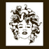 Medusa Stencil - Snake Creature Graffiti Street Art Mythology Insipational Stencils Reusable for Painting on Wood, Glass, Wall, Rock, Walls, Glass...