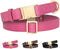 Beirui Genuine Leather Dog Collar with Quick Release Metal Buckle, Comfortable Leather Collar for Small Medium Large Dogs, Heavy Duty Classic Pet ...