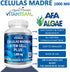 Celulas Madres 60 Capsules Vitamisan 1000 mg Aphanizomenon Flos-aquae Blue Green Algae AFA Stem Natural Cell...