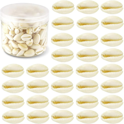 200 Pcs Natural White Cowrie Shells Bulk - 16-18mm No Holes Whole Seashells for Jewelry Making, Wedding Decor, Crafts, Beach Party Supplies (Small...
