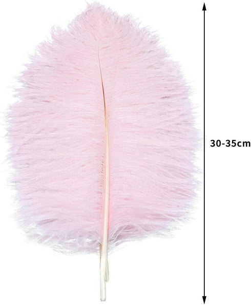 12pcs Natural Light Pink Ostrich Feathers 12-14inch (30-35cm) for Wedding Party Centerpieces?Flower Arrangement and Home Decoration....