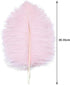 12pcs Natural Light Pink Ostrich Feathers 12-14inch (30-35cm) for Wedding Party Centerpieces?Flower Arrangement and Home Decoration....