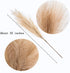 UiiziC Faux Pampas Grass Dried Fluffy Artificial 6pcs 35" Ascendant Grass for Vase Fillers Wedding Party Bouquets Home Hotel Centerpieces Decor (B...