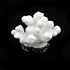 Semetall Sea Coral Sculpture, 2Pcs White Resin Aquarium Ornaments for Fish Tank Decorations...