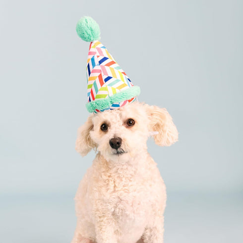 Fringe Studio Plush Dog Toy, Cheers for A Barkday, Pet Shop Collection (314246)...