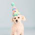 Fringe Studio Plush Dog Toy, Cheers for A Barkday, Pet Shop Collection (314246)...