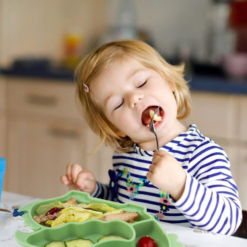 Linowos Silicone Suction Plate for Toddlers - Self Feeding Training Divided Plate Dish and Bowl for Baby and Toddler, Fits for Most Highchairs Tra...