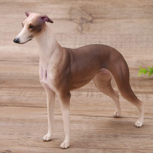 Greyhound Model, Plastic Material Simulation Greyhound , Teaching Tool Smoothing for...