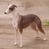 Greyhound Model, Plastic Material Simulation Greyhound , Teaching Tool Smoothing for...