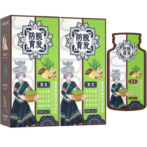 2 Box Ginger Plant Extract Anti-Hair Loss Hair Shampoo, Ginger Shampoo for Hair Growth Oil Control Hair Care Plant Shampoo for Women Men. (400g)...