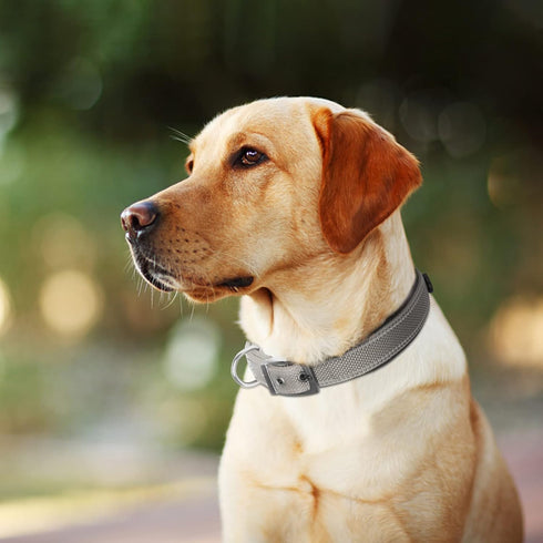 Fida Heavy Duty Dog Collar, Ultra Comfortable Soft Neoprene Padded, Adjustable Reflective Nylon Pet Collar with Durable Metal Belt Buckle for Larg...