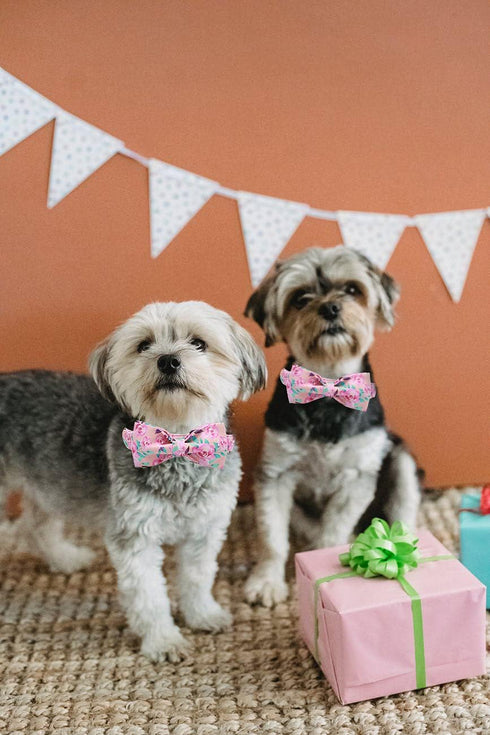 Lionheart glory Floral Rose Print Dog Collar Adjustable Soft Dog Collar with Bowtie, Girl Pet Collars for X-Small Small Medium Large Dogs...