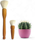 Southside Plant Cactus & Succulent Plants Cleaning Brushes - Wooden Handles w/Soft Goat Hair Bristles - Garden Cleaning Tools, Gentle on Plants, 7...