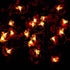 Honeybee Fairy String Lights,40 LED 14Ft Honeybee Battery Power Led String Lights for Party,Wedding,Xmas,Decoration,Gardens,Patios...