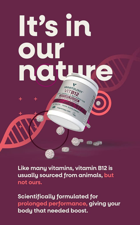 Vitamin B12 Supplements – Vegan B12 Vitamins for Energy Support – Vit B12 Vitamin Supplements for All Ages – Vitamin B12 1000 Mcg (60 Tabs)...