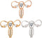 3 Pics Personality Human Body Organ Uterus Rhinestones Brooch Pin Doctor Nurse Clothing Jacket Jewery Gift...