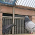 Pigeon Trap Doors Pigeon Loft Door Pigeon One Way Entrance Door Iron T Bars Frame Window Bird Cage Door(12 * 10 inch)...