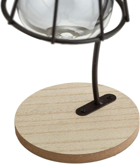 TJ Global Lamp with Glass Light Bulb Vase Planter Holder, Plant Terrarium, Propagation Station, Metal Stand for Hydroponics Plants Home Garden Wed...